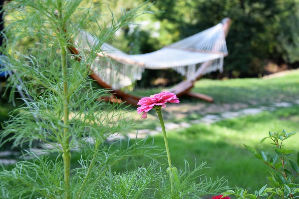 Golden Horn Guest House Iskrets Bagian luar foto