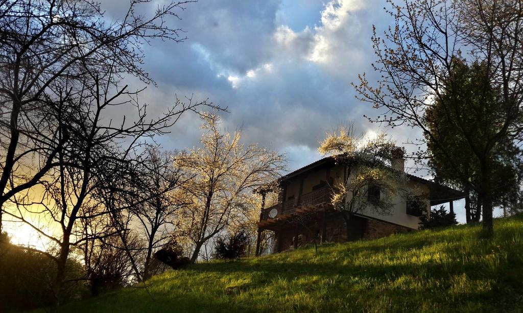 Golden Horn Guest House Iskrets Bagian luar foto