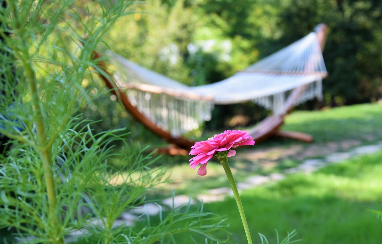 Golden Horn Guest House Iskrets Bagian luar foto